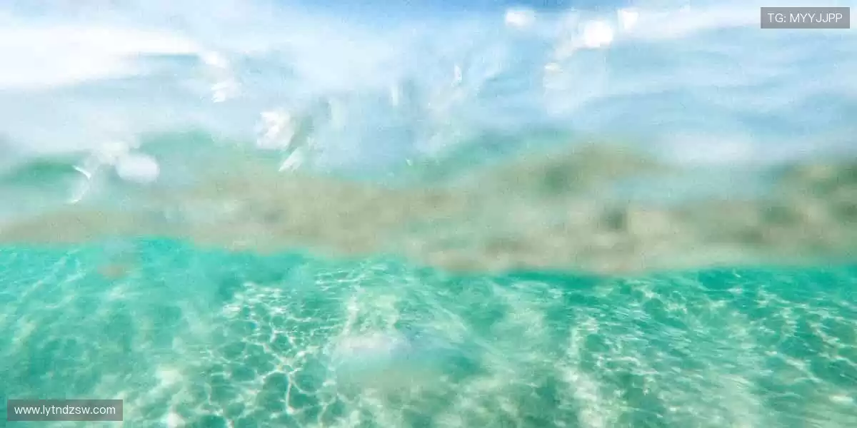 🎉赛事周边,让热爱更有型!🎈